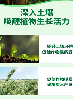 颗粒硼肥果树专用柑橘蔬菜花生西瓜农用颗粒硼缓释肥保花保果增产
