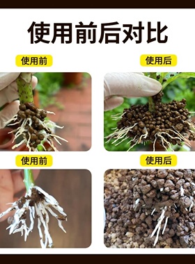 日本进口三本线硬质赤玉土盆景专用爬宠多肉纯颗粒铺面石大包原装