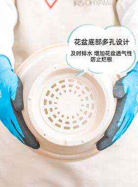 爱丽丝花盆爱丽丝花盆塑料树脂圆多肉加厚简单兰花花盆彷陶瓷间隙