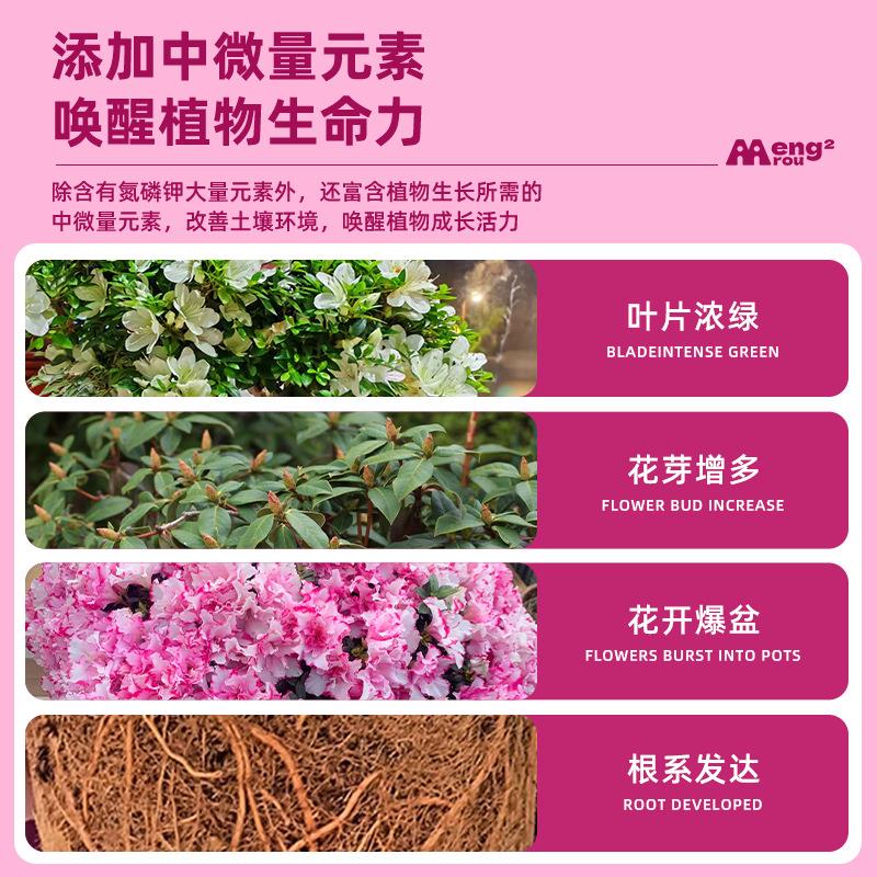 杜鹃花专用营养液强根健苗花苞满枝让杜鹃生机盎然花期延长营养液 - 图1