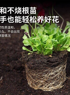 羊粪发酵有机肥家用养花种菜农家肥肥料花卉种植底肥通用型鸡粪肥