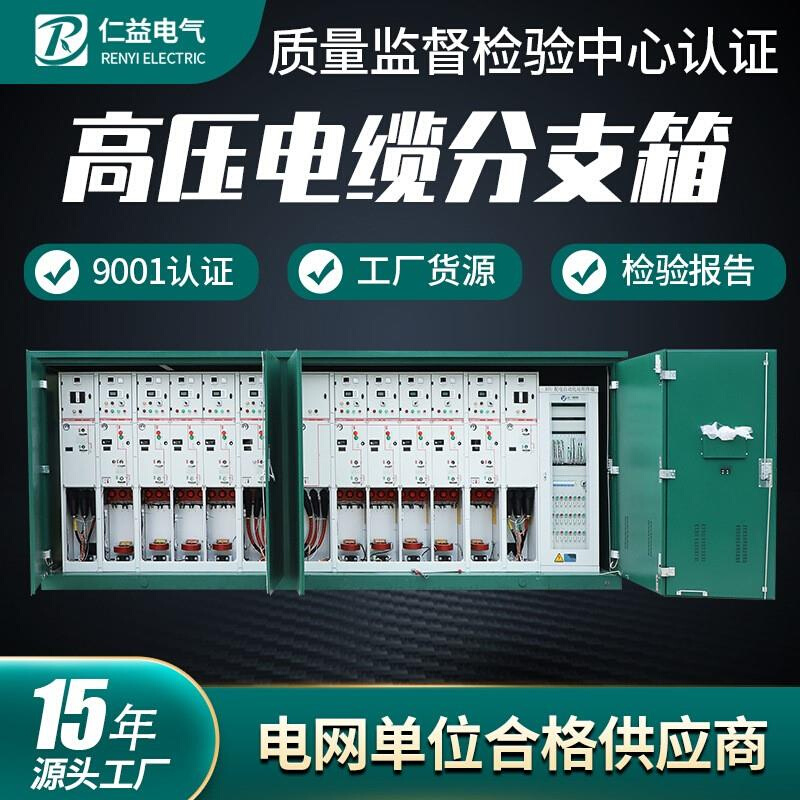 高压电缆分支箱DFW-12 环网柜户外气体绝缘柜SF6开闭所生产厂家 - 图2