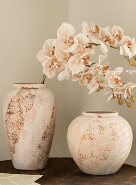 中古侘寂风花瓶陶瓷高级感复古客厅蝴蝶兰芍药餐桌电视柜插花摆件