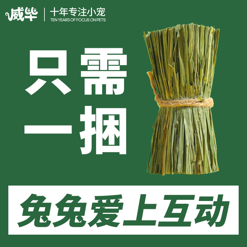 极速提摩a西草干草兔子牧草豚鼠荷兰猪幼兔吃的草料食用饲料兔粮,淘宝优惠券,粉丝福利购,淘宝优惠卷