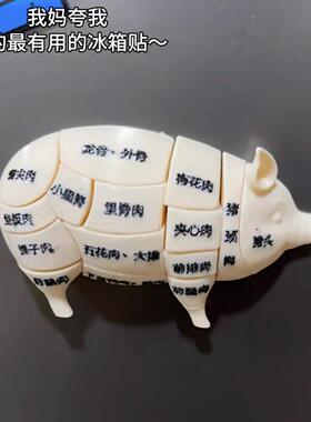 猪肉分割冰箱贴趣味分解部位模型了解形态参考摆件磁吸贴面板装饰