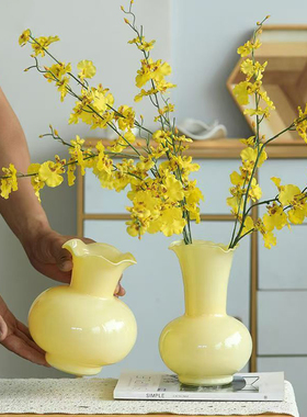 法式中古芬顿花边玻璃花瓶水养鲜花插花客厅摆件高级感装饰奶油风