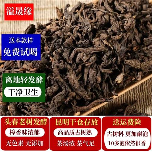 云南樟香普洱茶熟茶大叶散茶陈年老樟香300年古树散装茶叶500克