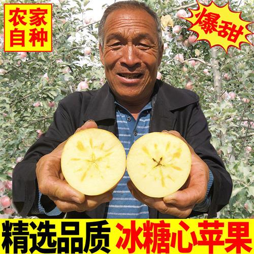 冰糖心苹果红富士丑苹果新鲜水果当季整箱5斤山西应季平果10包邮