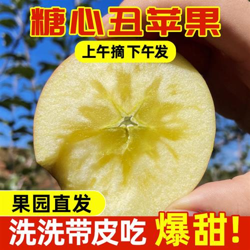 正宗大凉山丑苹果冰糖心盐源苹果水果新鲜当季整箱现摘先发脆甜 - 图0