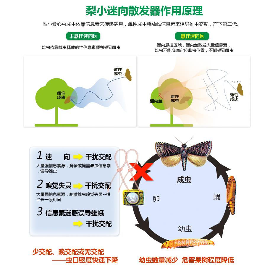 中捷四方梨小迷向素丝桃梨园果树除钻心虫绑丝农资3/6个月-图3