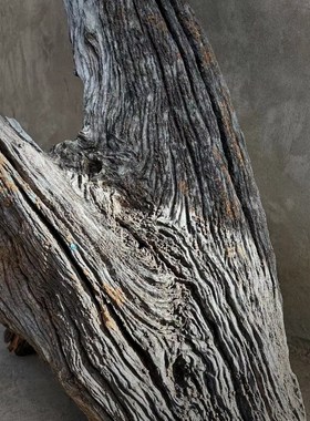 风化木枯木装饰摆件朽木空间造景老F木头沉水木精品造型自然形态