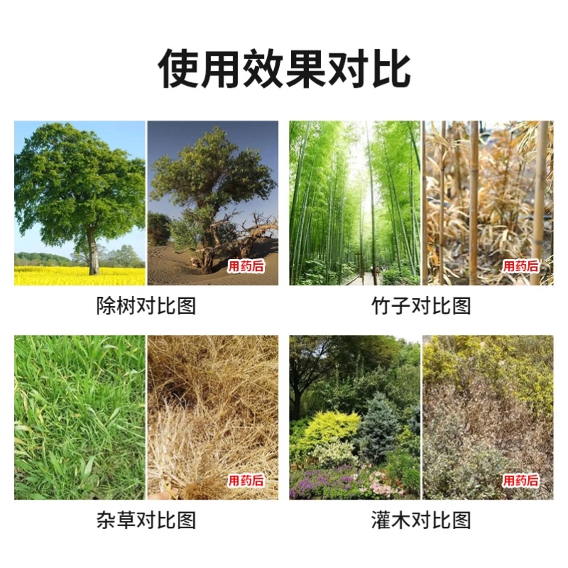 灭树粉烂根粉灭根粉专用剂强力除大树竹子杀树王死树除草烂根剂-图0