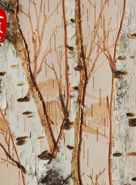 刻画桦木树皮画家居场合装饰大自然风格白桦树皮diy手工工艺画