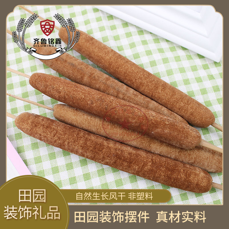 速发干花蒲草蒲棒花摆拍芦苇花绢花道腊烛水烛香蒲摄台拍舞水具 - 图0