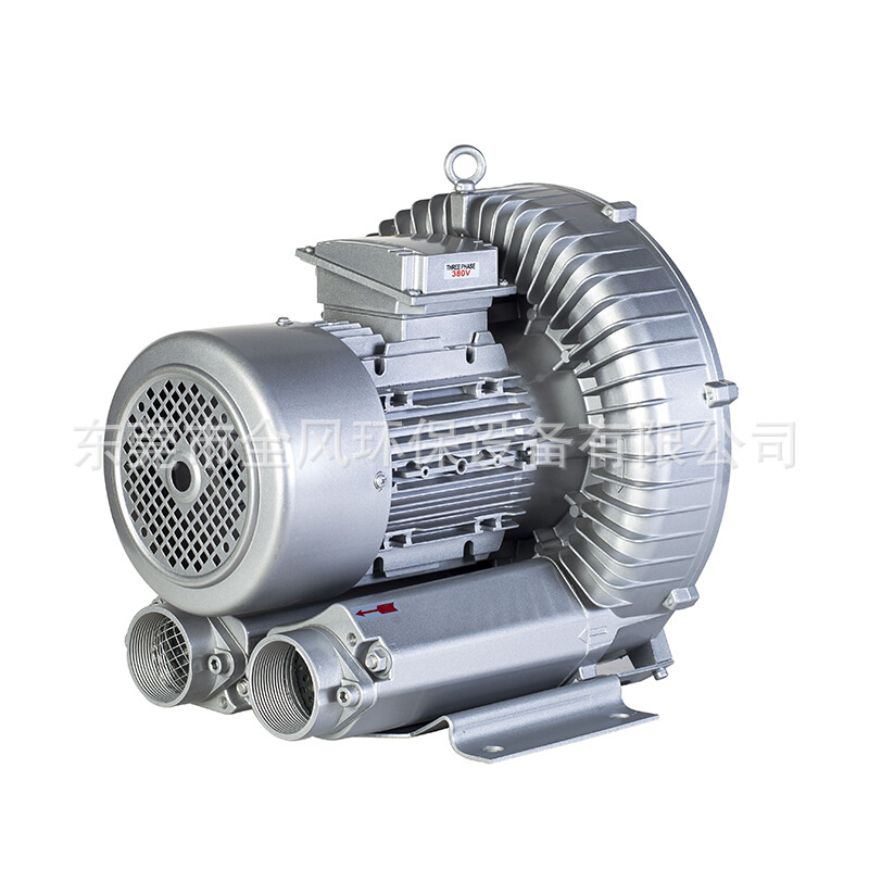 机械设备配套节能鼓风机LD013H43R15 1.3KW 耐高温高压罗茨鼓风机 - 图0