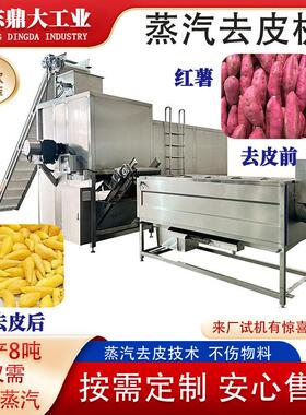 蒸汽去皮机 葡萄不伤果肉脱皮 果酒头原料全自动果蔬去皮设备