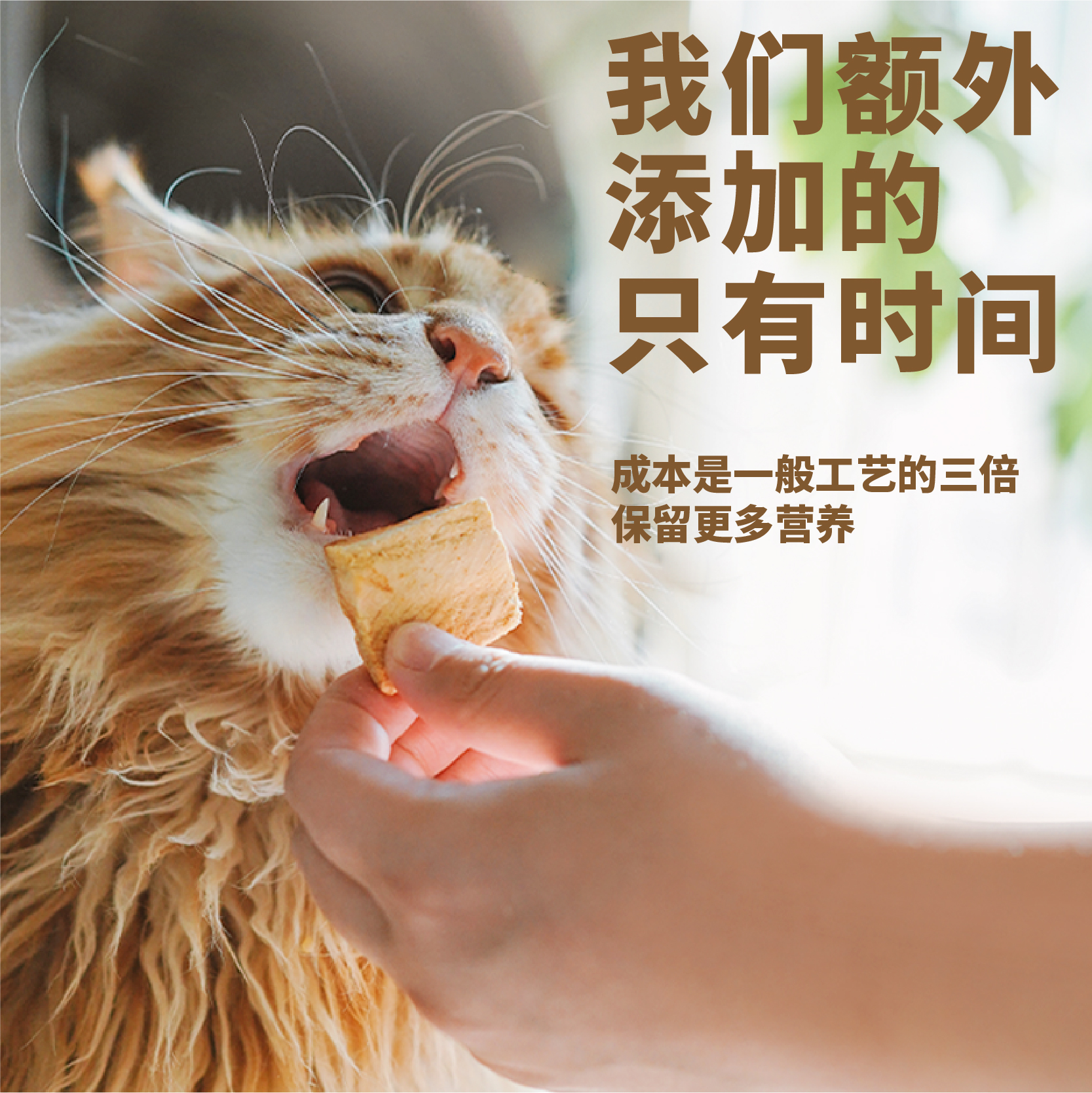 3m5白猪猪里脊冻干宠物零食成猫幼猫狗猫饭训猫零食纯肉冻干 - 图1