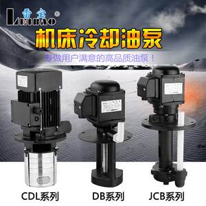雷宝DB ABJCB机床磨床油泵线切割循环冷却泵三相电泵220V380V抽水