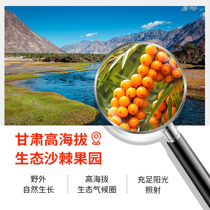 纯耕沙棘原浆鲜榨60袋维c滋补礼盒甘肃鲜果原液枸杞沙棘汁饮品料,淘宝优惠券,粉丝福利购,淘宝优惠卷