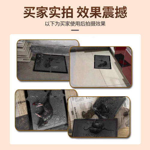 粘鼠板老鼠粘强力胶粘大老鼠克星贴扑捉器超强家用捕鼠神器鼠抓灭 - 图3