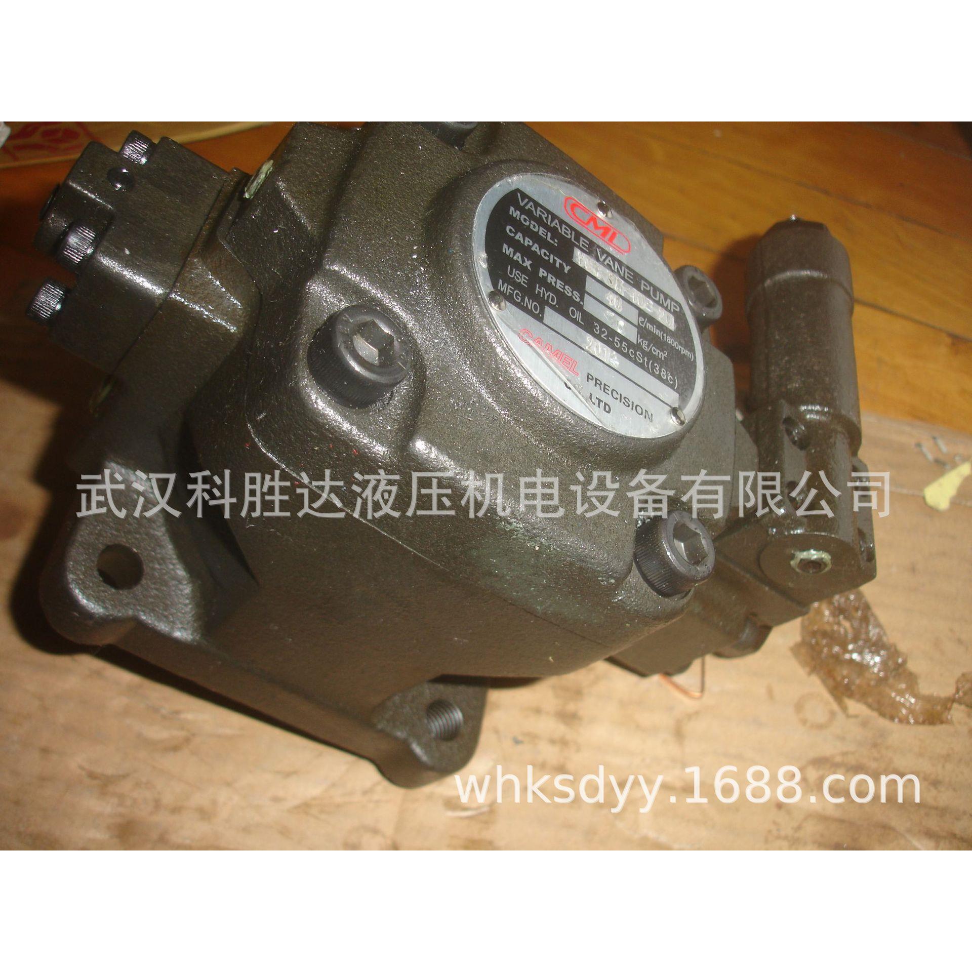 液压油泵VCM-SM-30D-20 VCM-SM-40B-20中压变量叶片泵140KG - 图0