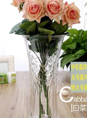 好货现代简约台面 插水培富贵竹百合花瓶玻璃透明大号码花器桌面