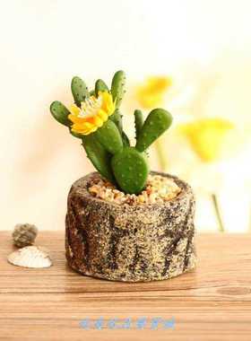 极速家居装饰品多肉植物盆栽小摆件家庭院阳台Q迷你工艺品创意田