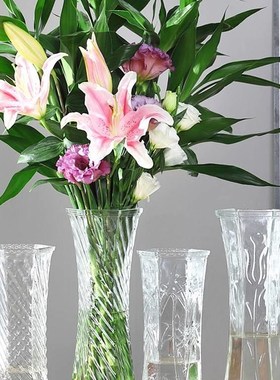 玻璃花瓶透明水培富贵竹百合花瓶摆件客厅插花干燥花北欧家用特大