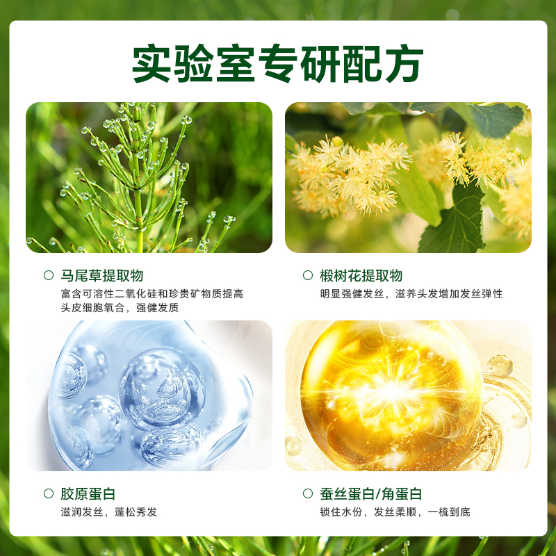 Radical缕植丰盈洗发水控油蓬松修复柔顺滋润清洁马尾草洗发露 - 图2