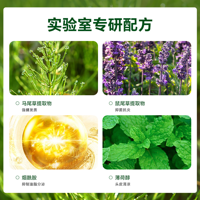 RADICAL马尾草控油洗发水400ml进口洗发露强健发质调节水油平衡 - 图2