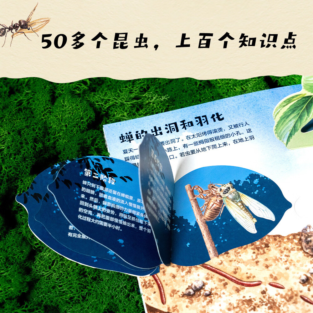 昆虫记立体书 法布尔昆虫记立体书 38个立体互动 附赠昆虫观察指南 三蝶纪审读校订 儿童自然科学启蒙读物 小学生课外读物果麦出品