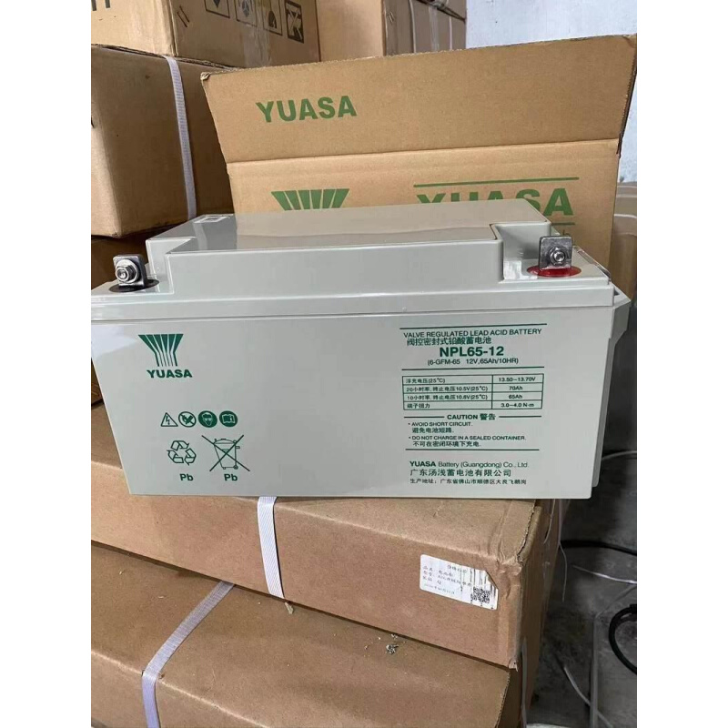 12V65AH直流屏UPS电源NP65-12应急EPS太阳能铅酸蓄电池 - 图2