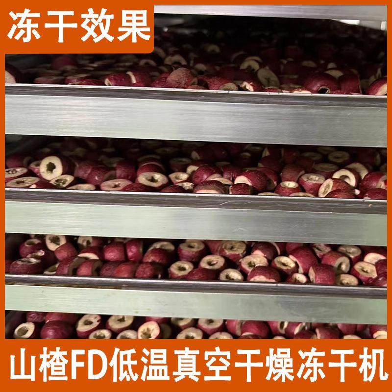 山楂冻干设备 果蔬脆冻干机生产线 商用海鲜真空冷冻干燥机,淘宝优惠券,粉丝福利购,淘宝优惠卷