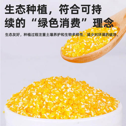 正宗有机玉米碴子非转基因2026新东北小碴子玉米糁新玉米碴旗舰店 - 图2