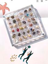 Microbay Box Natural Selection Mini Small Shells Sea Snail Selected Specimens Collection Philippines Bescha Collection Box