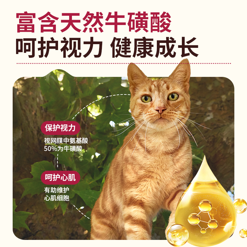 AnimondaCarny爱诺德卡昵德国进口成猫罐头主食标准湿粮罐