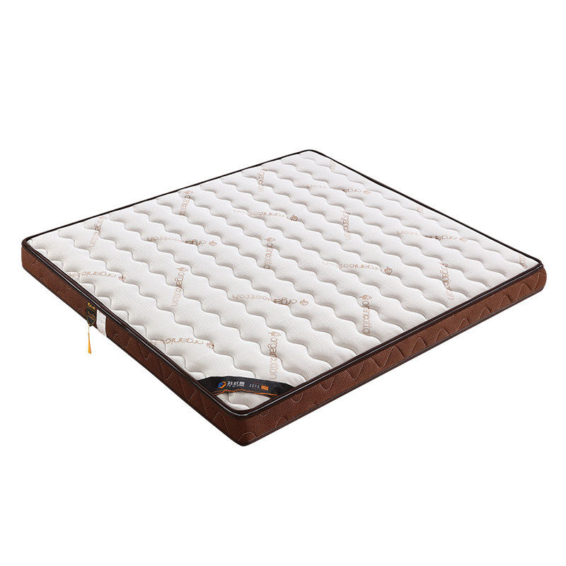 直播11菲欧宫榻榻米专用床垫黄麻护脊护腰硬床垫棕可定制异形折叠,淘宝优惠券,粉丝福利购,淘宝优惠卷