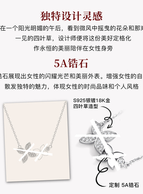 幸运四叶草双花项链女款轻奢小众幸运草吊坠高级感气质锁骨链女