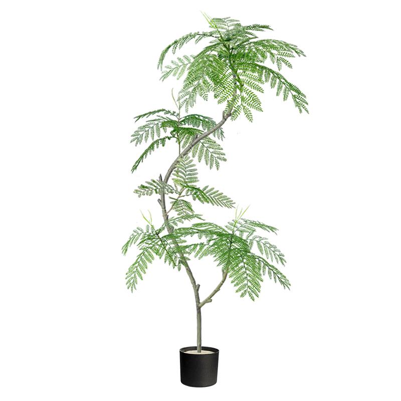 绿植装饰摆饰落地大型客厅入户玄关电视柜旁边室内盆栽蓝色的花楹 - 图3