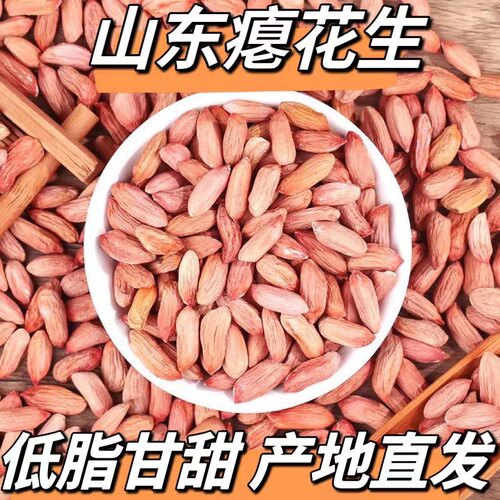 瘪花生米生2025年新山东新鲜干瘪小粒瘪子红皮仁养胃农家优质批发-图0