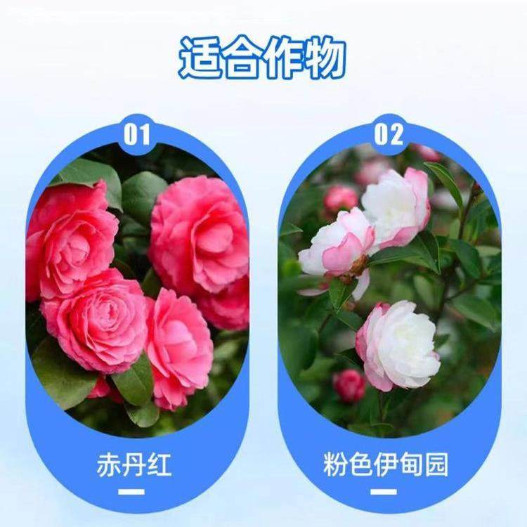 【茶花专用营养液】家庭园艺养花肥料水溶肥生长配方植物营养液,淘宝优惠券,粉丝福利购,淘宝优惠卷