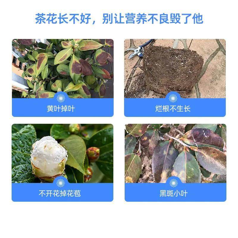 【茶花专用营养液】家庭园艺养花肥料水溶肥生长配方植物营养液,淘宝优惠券,粉丝福利购,淘宝优惠卷