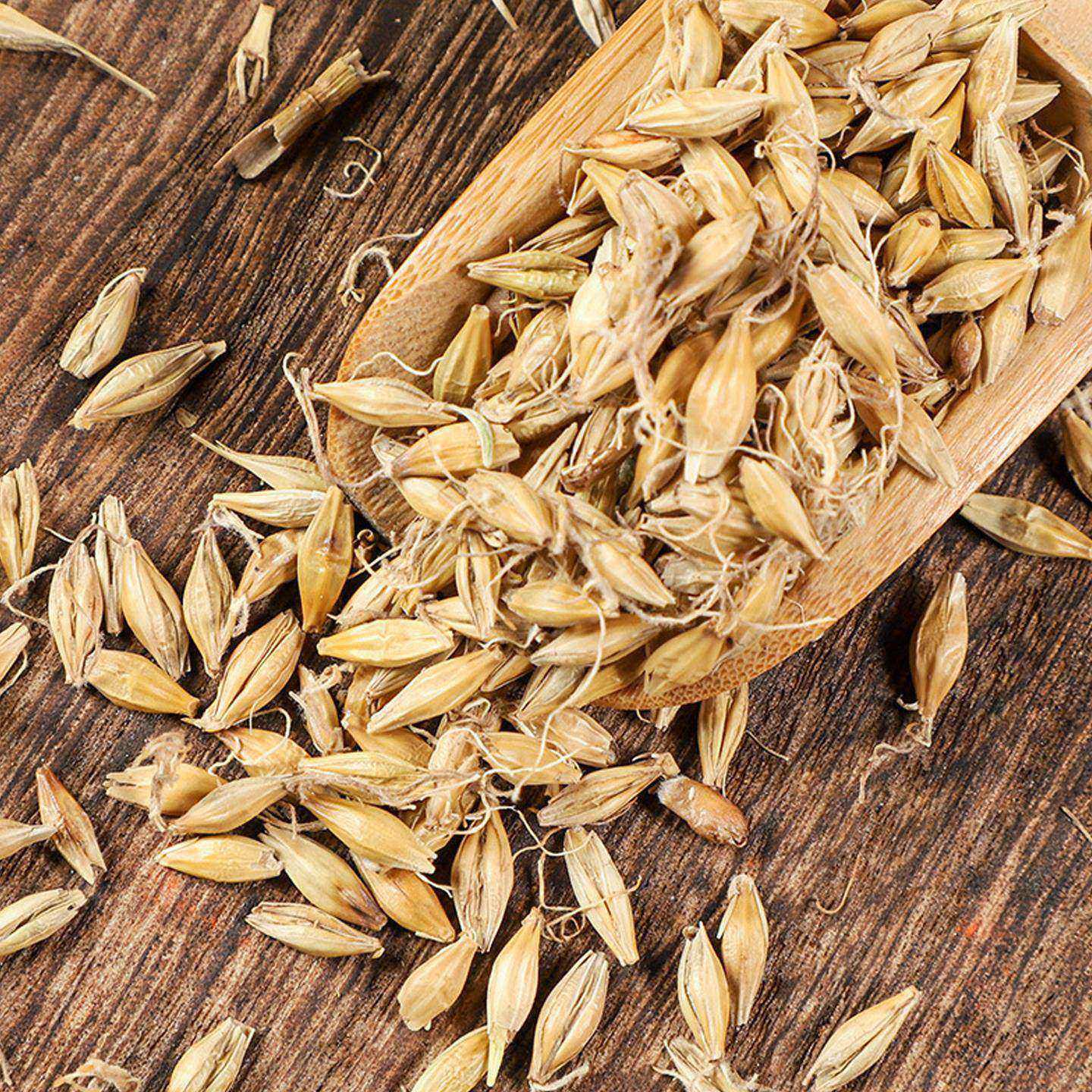 正宗麦芽中药材500g正品官方旗舰店罐子装炒麦芽焦麦芽浮小麦谷芽,淘宝优惠券,粉丝福利购,淘宝优惠卷