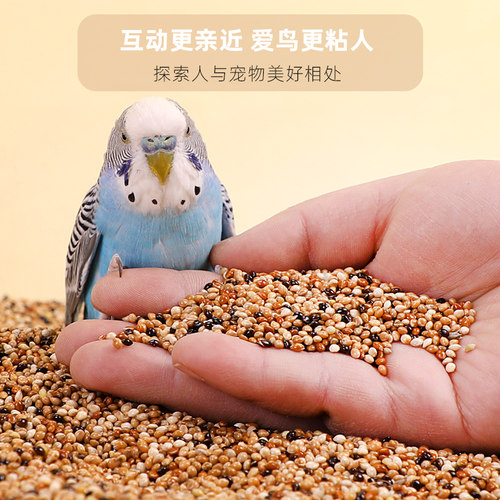 鹦鹉鸟粮饲料谷子牡丹虎皮玄凤粮食文鸟珍珠专用带壳五色黍子鸟食 - 图0