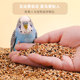 Parrot bird food shelled mixed special food