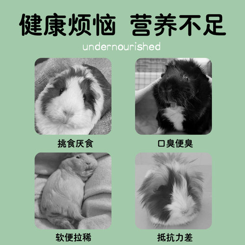 豚鼠粮食兔粮营养主粮荷兰猪饲料专用食物小宠零食自配粮大全主粮 - 图0