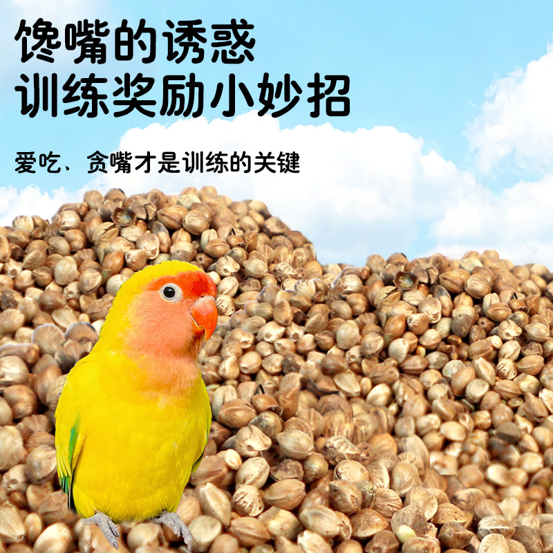 鹦鹉纸壳麻子小太阳和尚奖励零食鸟粮饲料牡丹玄凤专用粮食鸟食,淘宝优惠券,粉丝福利购,淘宝优惠卷