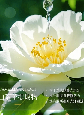 山茶花补水面膜修护舒缓泛红提亮