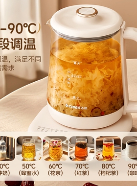志高304不锈钢养生壶|千人回购