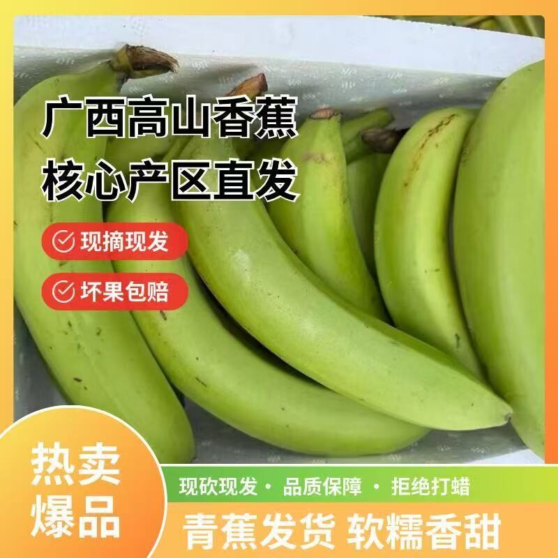 【净重5斤】广西高山青皮香蕉现摘现发整箱